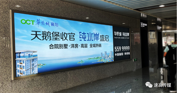 1668065648174719.jpg 17.jpg